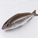 魚仲