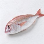 青機